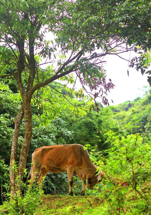 Làng Cac Du Gia Nalien View Homestay المظهر الخارجي الصورة